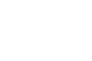 AlpInvest (1)